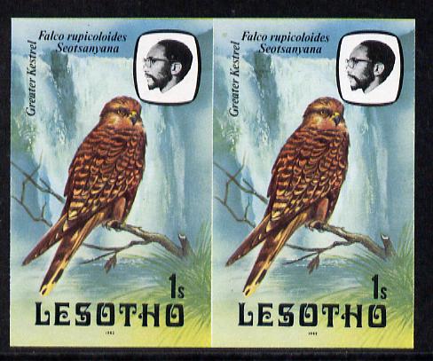 Lesotho 1982 Kestrel 1s def in unmounted mint imperf pair* (SG 500), stamps on , stamps on  stamps on birds   birds of prey      kestrel