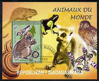 Madagascar 1999 Animals of the World #11 perf m/sheet showing Lemur #5 with Rotary Logo, background shows Owl, Fungi, Frog & Orchid, fine cto used, stamps on flowers, stamps on orchids, stamps on animals, stamps on apes, stamps on owls, stamps on prey, stamps on birds of prey, stamps on fungi, stamps on rotary
