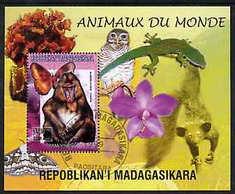 Madagascar 1999 Animals of the World #13 perf m/sheet showing Mandril Monkey, background shows Owl, Butterfly, Lizard & Orchid, fine cto used, stamps on flowers, stamps on orchids, stamps on animals, stamps on apes, stamps on owls, stamps on prey, stamps on butterflies, stamps on lizards, stamps on birds of prey, stamps on reptiles