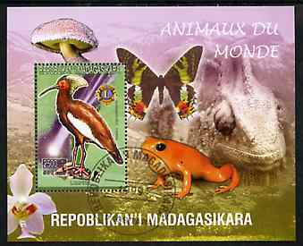 Madagascar 1999 Animals of the World #18 perf m/sheet showing Lampira with Lions Int Logo, background shows Frog, Butterfly, Reptile, Fungi & Orchid, fine cto used, stamps on flowers, stamps on orchids, stamps on animals, stamps on reptiles, stamps on fungi, stamps on butterflies, stamps on lions int, stamps on birds