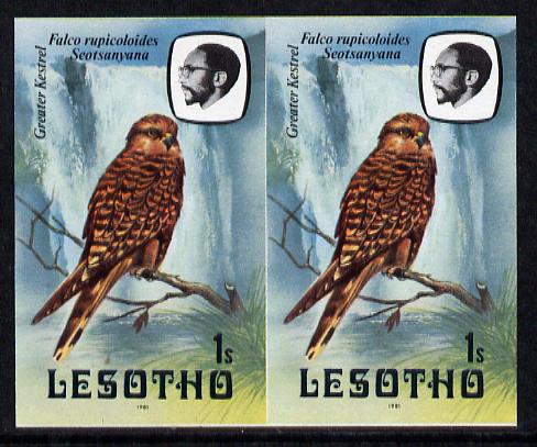 Lesotho 1981 Kestrel 1s def in unmounted mint imperf pair* (SG 437), stamps on lesotho, stamps on birds, stamps on birds of prey, stamps on kestrel