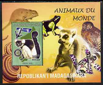 Madagascar 1999 Animals of the World #12 perf m/sheet showing Lemur #6 with Rotary Logo, background shows Owl, Fungi, Frog & Orchid, unmounted mint, stamps on flowers, stamps on orchids, stamps on animals, stamps on apes, stamps on owls, stamps on prey, stamps on birds of prey, stamps on fungi, stamps on rotary