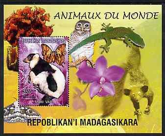 Madagascar 1999 Animals of the World #08 perf m/sheet showing Lemur #2, background shows Owl, Butterfly, Lizard & Orchid, unmounted mint, stamps on flowers, stamps on orchids, stamps on animals, stamps on apes, stamps on owls, stamps on prey, stamps on butterflies, stamps on lizards, stamps on birds of prey, stamps on reptiles
