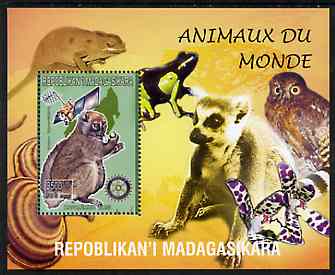 Madagascar 1999 Animals of the World #11 perf m/sheet showing Lemur #5 with Rotary Logo, background shows Owl, Fungi, Frog & Orchid, unmounted mint, stamps on flowers, stamps on orchids, stamps on animals, stamps on apes, stamps on owls, stamps on prey, stamps on birds of prey, stamps on fungi, stamps on rotary