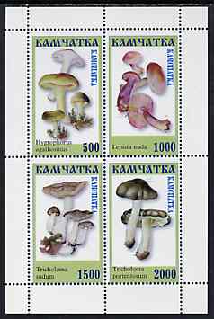 Kamchatka Republic 1999 ? Fungi perf sheetlet containing complete set of 4 values (green frame) unmounted mint, stamps on fungi