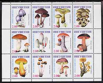 Ingushetia Republic 1998 Fungi perf sheetlet containing complete set of 12 values unmounted mint, stamps on fungi