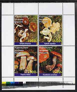 Kuril Islands 1999 ? Fungi perf sheetlet containing 4 values unmounted mint, stamps on fungi