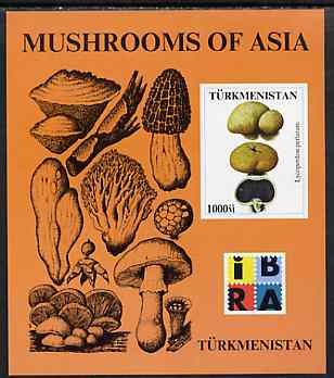 Turkmenistan 1999 Mushrooms of Asia #1 imperf m/sheet with IBRA imprint unmounted mint, stamps on stamp exhibitions, stamps on fungi