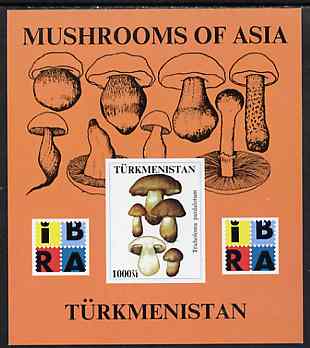 Turkmenistan 1999 Mushrooms of Asia #2 imperf m/sheet with IBRA imprint unmounted mint, stamps on stamp exhibitions, stamps on fungi