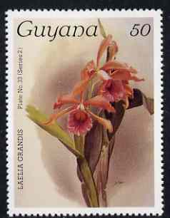 Guyana 1985-89 Orchids Series 2 plate 33 (Sanders' Reichenbachia) 50c unmounted mint, SG 1873, stamps on orchids, stamps on flowers