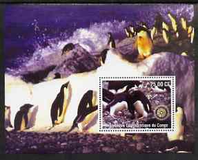 Congo 2002 Penguins #1 perf m/sheet with Rotary Logo unmounted mint, stamps on birds, stamps on penguins, stamps on polar, stamps on rotary