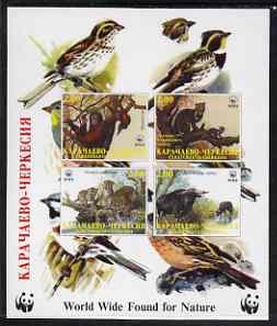 Karachaevo-Cherkesia Republic 1998 WWF imperf sheetlet containing set of 4 values unmounted mint, stamps on wwf, stamps on birds, stamps on  wwf , stamps on animals, stamps on apes, stamps on cats