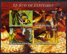 Congo 2004 Birds - Le Sud de LOntario imperf sheetlet containing 4 values unmounted mint , stamps on birds