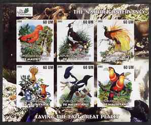 Mauritania 2003 The Nature Conservancy imperf sheetlet containing set of 6 values (Birds by John Audubon) unmounted mint, stamps on wildlife, stamps on environment, stamps on birds, stamps on audubon