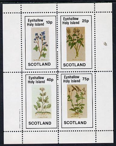 Eynhallow 1982 Wild Flowers perf sheetlet containing set of 4 values unmounted mint, stamps on flowers