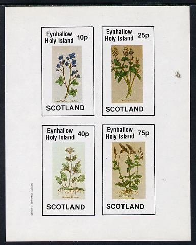 Eynhallow 1982 Wild Flowers imperf sheetlet containing set of 4 values unmounted mint, stamps on flowers