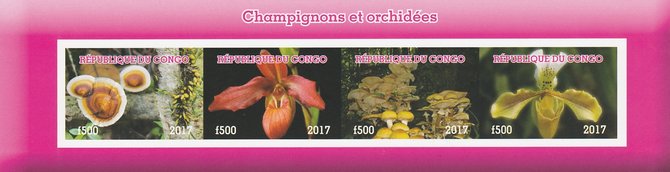 Congo 2017 Fungi & Orchids imperf sheetlet containing 4 values unmounted mint. Note this item is privately produced and is offered purely on its thematic appeal, stamps on , stamps on  stamps on fungi, stamps on  stamps on flowers, stamps on  stamps on orchids