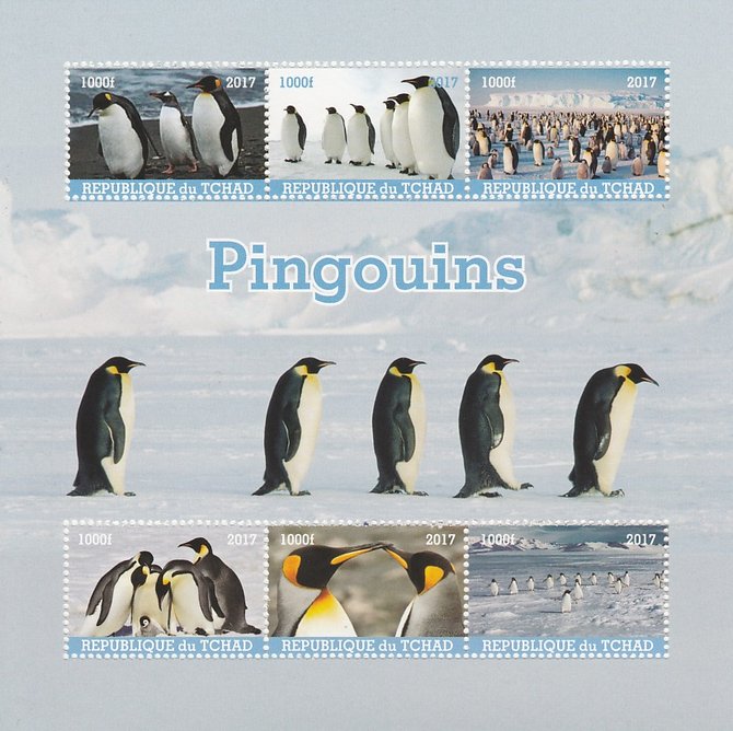 Chad 2017 Penguins perf sheetlet containing 6 values unmounted mint. Note this item is privately produced and is offered purely on its thematic appeal. . , stamps on birds, stamps on penguins, stamps on polar