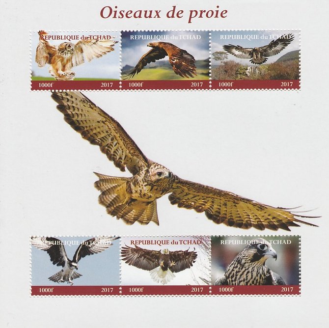 Chad 2017 Birds of Prey perf sheetlet containing 6 values unmounted mint. Note this item is privately produced and is offered purely on its thematic appeal. . , stamps on birds, stamps on prey, stamps on owls, stamps on eagles