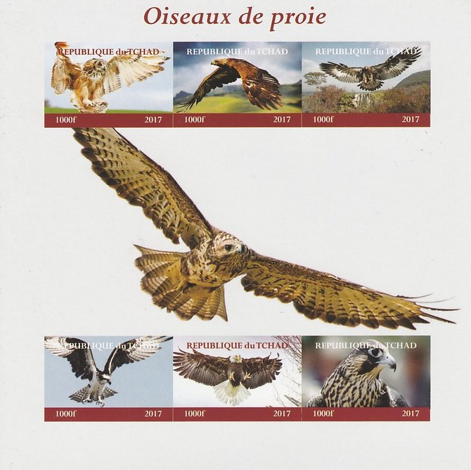Chad 2017 Birds of Prey imperf sheetlet containing 6 values unmounted mint. Note this item is privately produced and is offered purely on its thematic appeal. . , stamps on birds, stamps on prey, stamps on owls, stamps on eagles