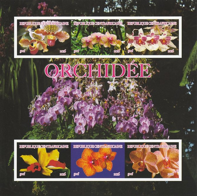 Central African Republic 2016 Orchids imperf sheetlet containing 6 values unmounted mint. Note this item is privately produced and is offered purely on its thematic appea..., stamps on flowers, stamps on orchids