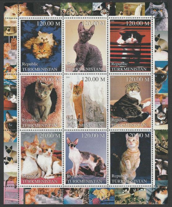 Turkmenistan 2000 Domestic Cats perf sheetlet containing complete set of 9 values unmounted mint. Note this item is privately produced and is offered purely on its thematic appeal, it has no postal validity, stamps on cats