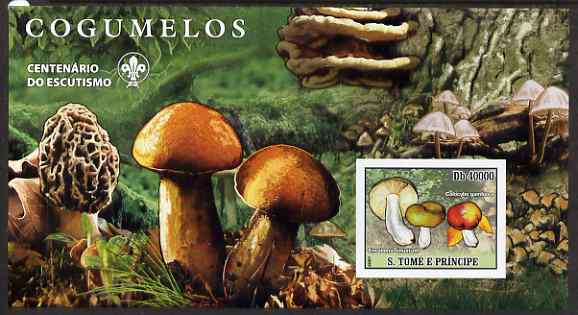 St Thomas & Prince Islands 2007 Fungi large imperf s/sheet containing 1 value (Scout logo in background) unmounted mint, stamps on fungi, stamps on scouts