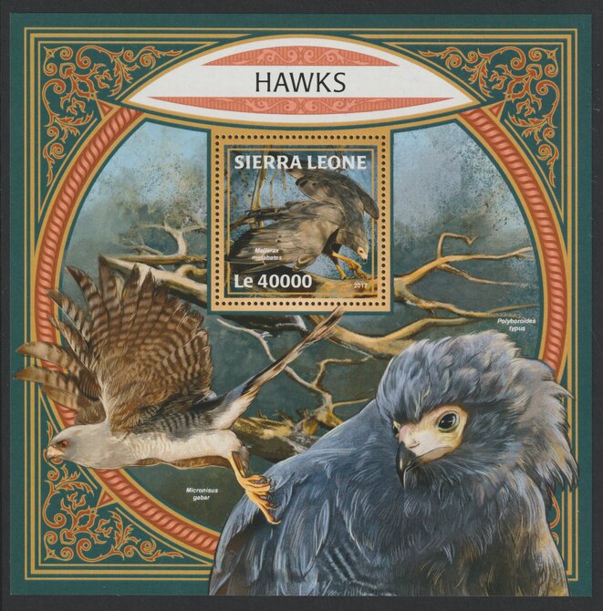 Sierra Leone 2017 Hawks large perf deluxe sheet containing one value unmounted mint, stamps on birds, stamps on birds of prey, stamps on hawks