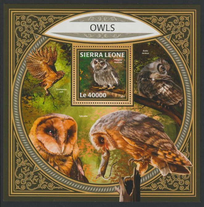 Sierra Leone 2017 Owls #4 large perf deluxe sheet containing one value unmounted mint, stamps on birds, stamps on birds of prey, stamps on owls