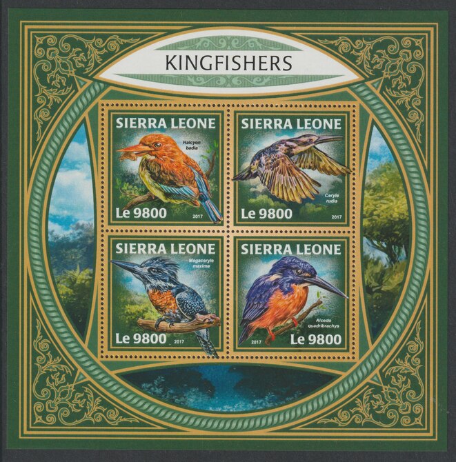 Sierra Leone 2017 Kingfishers perf sheetlet containing 4 values unmounted mint, stamps on birds, stamps on kingfishers
