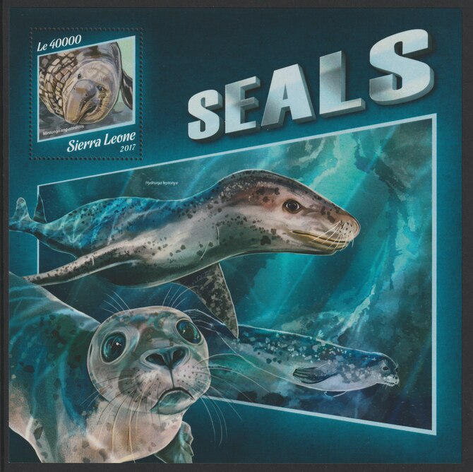Sierra Leone 2017 Seals large perf deluxe sheet containing one value unmounted mint, stamps on marine life, stamps on seals