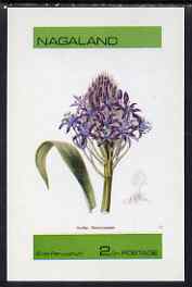 Nagaland 1973 Scilla peruvianum imperf souvenir sheet (2ch value) unmounted mint, stamps on flowers, stamps on scilla