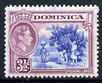 Dominica 1938-47 KG6 3.5d Picking Limes fine unmounted mint SG104a, stamps on , stamps on  kg6 , stamps on limes, stamps on fruit
