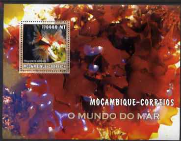Mozambique 2002 Sea Weed perf s/sheet containing 1 value unmounted mint Yv 144, stamps on marine life