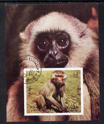 Sharjah 1972 Monkeys imperf m/sheet cto used Mi 117, stamps on animals     apes