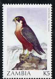 Zambia 1987 Birds - 5k Falcon unmounted mint, SG 500, stamps on birds, stamps on birds of prey