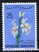 Tunisia 1968 Madonna Lily 25m unmounted mint, SG 669, stamps on flowers, stamps on 
