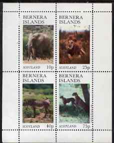 Bernera 1981 Animals (Elephant, Lion, Zebra) perf set of 4 values (imprint within main stamp design) unmounted mint, stamps on animals, stamps on cats, stamps on elephant, stamps on elephants, stamps on zebras, stamps on zebra