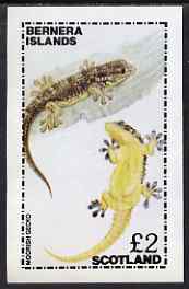 Bernera 1981 Moorish Gecko imperf deluxe sheet (Â£2 value) unmounted mint, stamps on animals, stamps on reptiles
