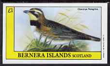 Bernera 1983 Otocorys peregrina imperf souvenir sheet (Â£1 value) unmounted mint, stamps on birds