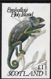 Eynhallow 1983 Chameleon imperf souvenir sheet (Â£1 value) unmounted mint, stamps on , stamps on  stamps on animals, stamps on  stamps on reptiles, stamps on  stamps on chameleons