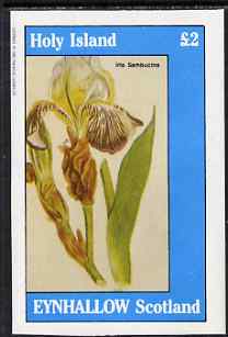 Eynhallow 1983 Flowers #33 imperf deluxe sheet (Â£2 value - Iris) unmounted mint, stamps on flowers, stamps on iris