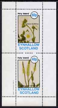 Eynhallow 1982 Flowers #33 perf set of 2 values unmounted mint, stamps on flowers