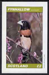 Eynhallow 1981 Manikin Bird imperf deluxe sheet (Â£2 value) unmounted mint, stamps on birds