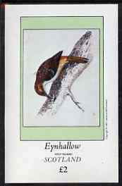 Eynhallow 1981 Tree Creeper imperf deluxe sheet (Â£2 value) unmounted mint, stamps on birds, stamps on 