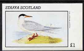 Staffa 1981 Arctic Tern imperf souvenir sheet (Â£1 value) unmounted mint, stamps on birds, stamps on polar