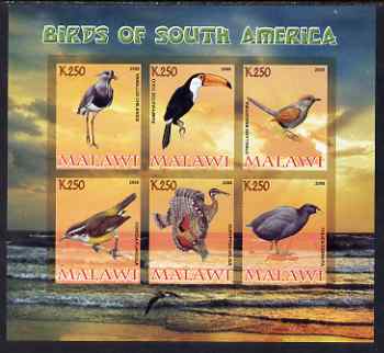 Malawi 2008 Birds of South America imperf sheetlet containing 6 values unmounted mint, stamps on birds, stamps on toucan, stamps on 