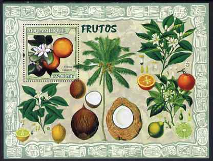 Mozambique 2007 Fruits perf souvenir sheet unmounted mint Yv 163, stamps on fruit