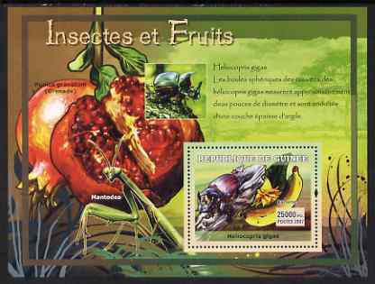 Guinea - Conakry 2007 Insects & Fruit perf souvenir sheet #2 unmounted mint Yv 559, stamps on fruit, stamps on insects, stamps on fruits