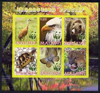 Malawi 2008 WWF - endangered Species imperf sheetlet containing 6 values unmounted mint, stamps on animals, stamps on  wwf , stamps on eagles, stamps on lions, stamps on panthers, stamps on birds of prey, stamps on pandas, stamps on beras, stamps on birds, stamps on tortoises, stamps on 
